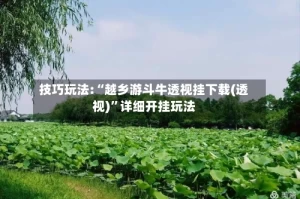 技巧玩法:“越乡游斗牛透视挂下载(透视)”详细开挂玩法
