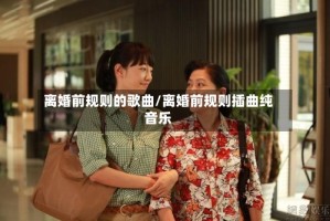 离婚前规则的歌曲/离婚前规则插曲纯音乐