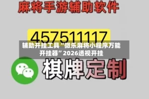 辅助开挂工具“微乐麻将小程序万能开挂器”2026透视开挂
