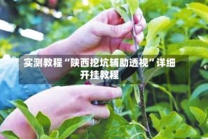 实测教程“陕西挖坑辅助透视”详细开挂教程