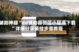 辅助神器“dd辅助器微信小程序下载”详细分享装挂步骤教程