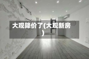 大观降价了(大观新房)