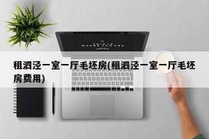 租泗泾一室一厅毛坯房(租泗泾一室一厅毛坯房费用)