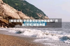 [教程经验]手机金花软挂神器插件”开挂(透视)辅助神器