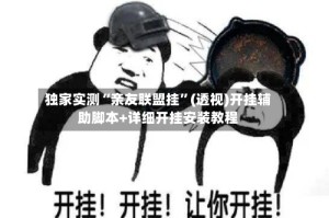 独家实测“亲友联盟挂”(透视)开挂辅助脚本+详细开挂安装教程