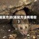 驱鼠方法(驱鼠方法有哪些)