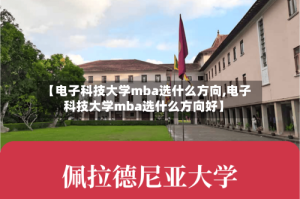 【电子科技大学mba选什么方向,电子科技大学mba选什么方向好】