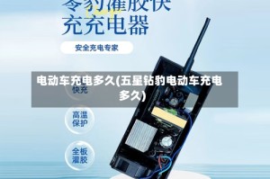 电动车充电多久(五星钻豹电动车充电多久)