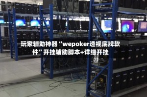 玩家辅助神器“wepoker透视底牌软件”开挂辅助脚本+详细开挂