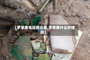 【罗家集毛坯房出售,罗家集什么时候拆】