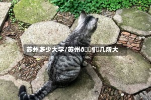 苏州多少大学/苏州🈶️几所大学