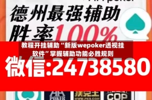 教程开挂辅助“新版wepoker透视挂软件”掌握辅助功能必胜规则