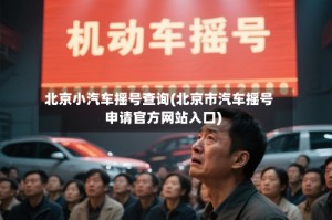 北京小汽车摇号查询(北京市汽车摇号申请官方网站入口)
