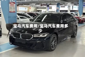 宝马汽车费用/宝马汽车费用多少
