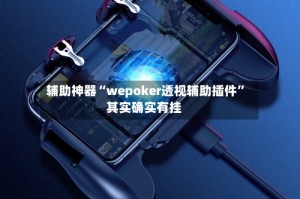 辅助神器“wepoker透视辅助插件”其实确实有挂
