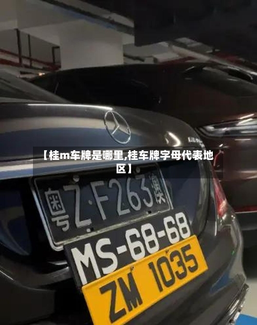 【桂m车牌是哪里,桂车牌字母代表地区】-第1张图片