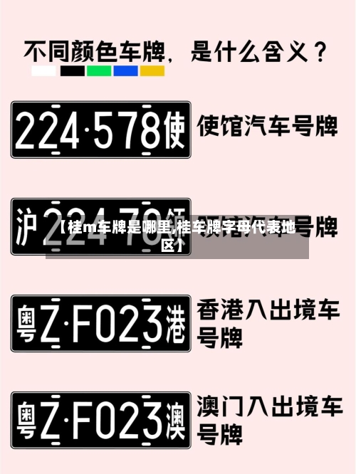 【桂m车牌是哪里,桂车牌字母代表地区】-第3张图片