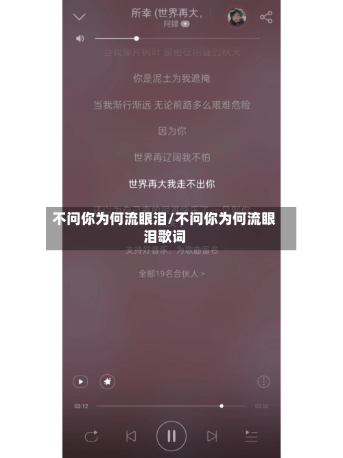 不问你为何流眼泪/不问你为何流眼泪歌词-第1张图片