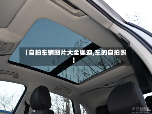 【自拍车辆图片大全奥迪,车的自拍照】-第1张图片