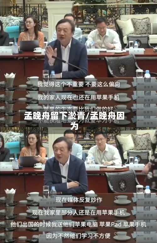 孟晚舟留下淤青/孟晚舟因为-第1张图片