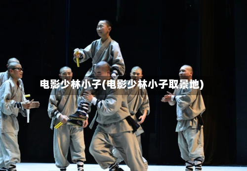 电影少林小子(电影少林小子取景地)-第1张图片
