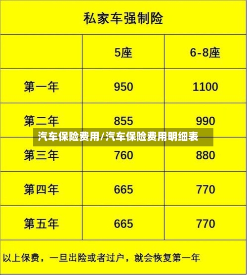 汽车保险费用/汽车保险费用明细表-第2张图片