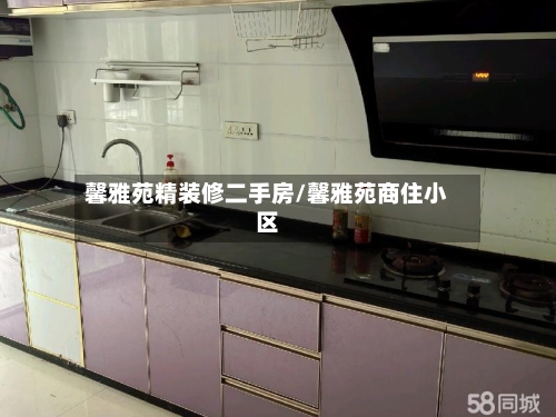 馨雅苑精装修二手房/馨雅苑商住小区-第3张图片