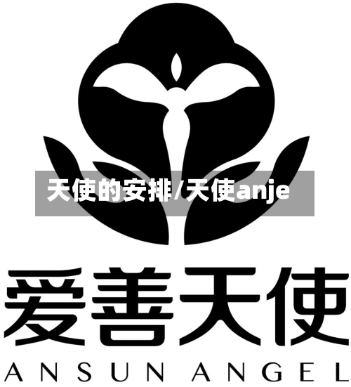 天使的安排/天使anje-第2张图片