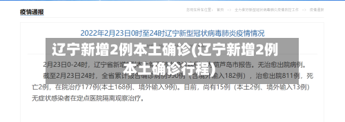 辽宁新增2例本土确诊(辽宁新增2例本土确诊行程)-第2张图片