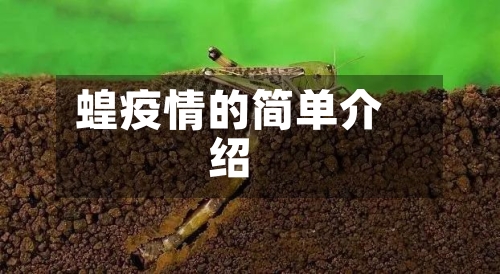 蝗疫情的简单介绍-第2张图片