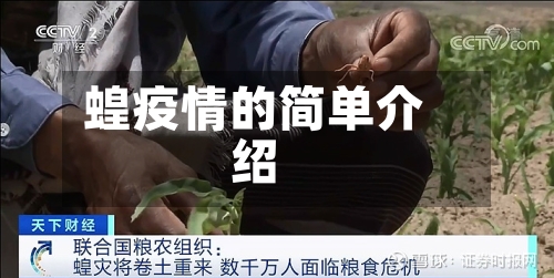 蝗疫情的简单介绍-第1张图片
