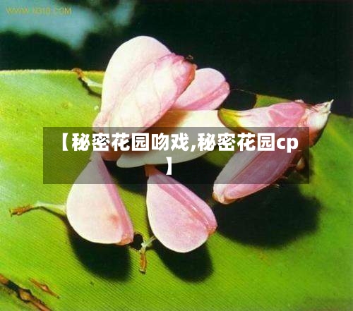 【秘密花园吻戏,秘密花园cp】-第3张图片