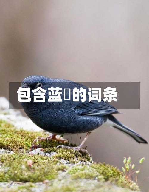 包含蓝鹀的词条-第3张图片