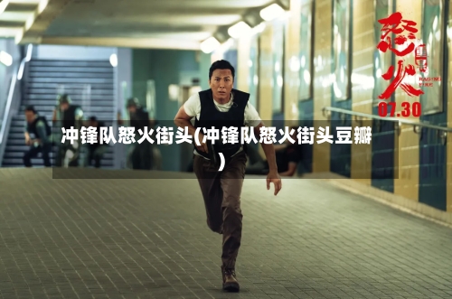 冲锋队怒火街头(冲锋队怒火街头豆瓣)-第1张图片