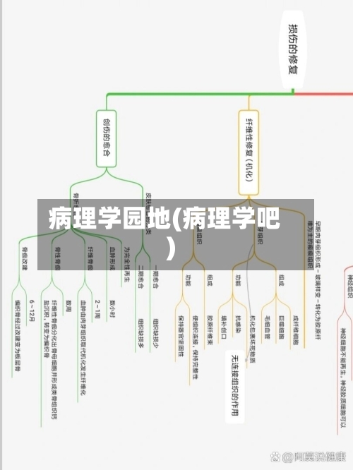 病理学园地(病理学吧)-第1张图片