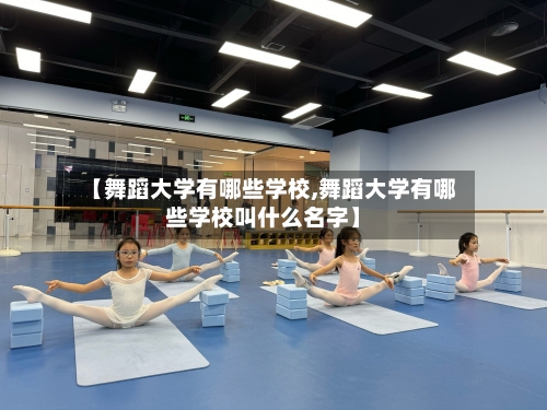 【舞蹈大学有哪些学校,舞蹈大学有哪些学校叫什么名字】-第2张图片