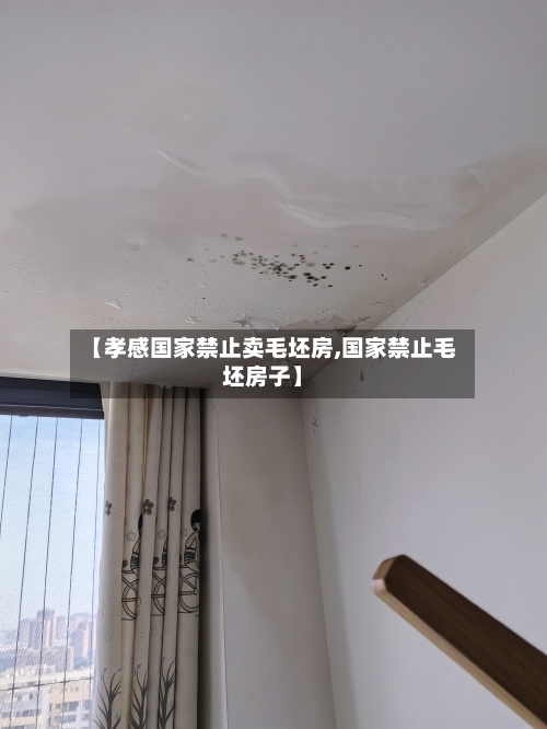 【孝感国家禁止卖毛坯房,国家禁止毛坯房子】-第1张图片