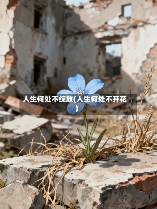 人生何处不绽放(人生何处不开花)-第1张图片