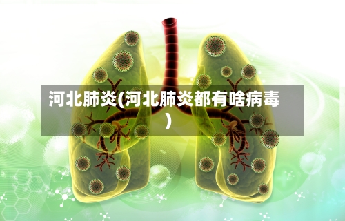 河北肺炎(河北肺炎都有啥病毒)-第1张图片