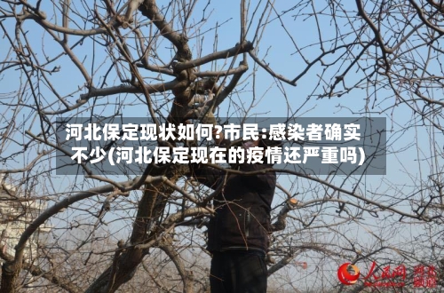 河北保定现状如何?市民:感染者确实不少(河北保定现在的疫情还严重吗)-第1张图片