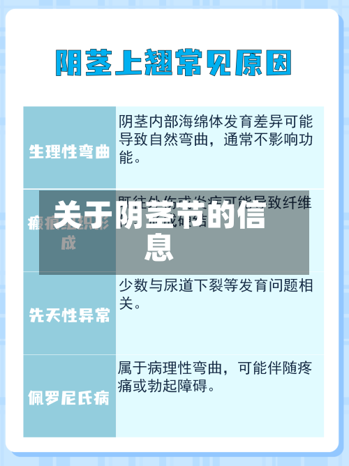 关于阴茎节的信息-第3张图片