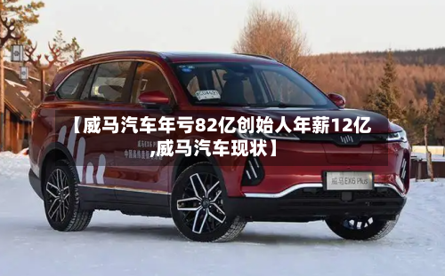 【威马汽车年亏82亿创始人年薪12亿,威马汽车现状】-第2张图片