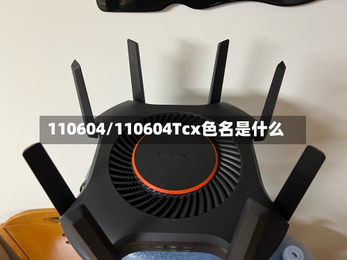 110604/110604Tcx色名是什么-第3张图片