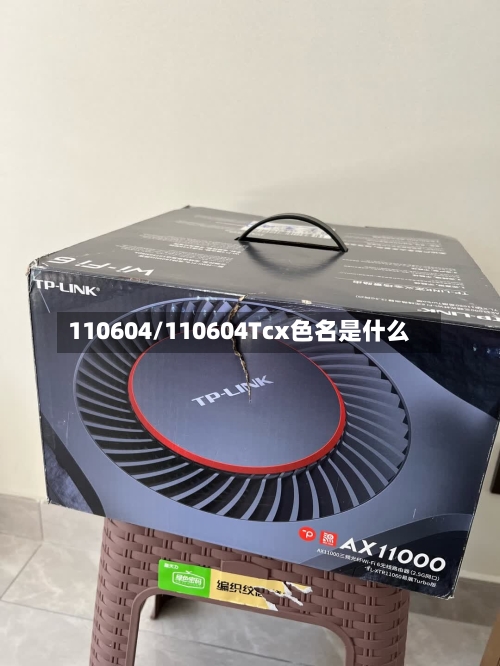 110604/110604Tcx色名是什么-第1张图片