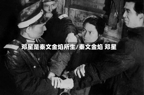 邓星是秦文金焰所生/秦文金焰 邓星-第1张图片