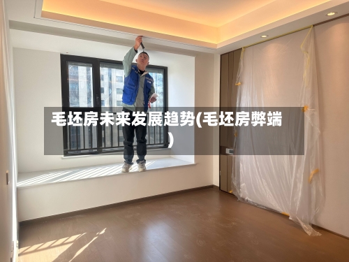 毛坯房未来发展趋势(毛坯房弊端)-第3张图片