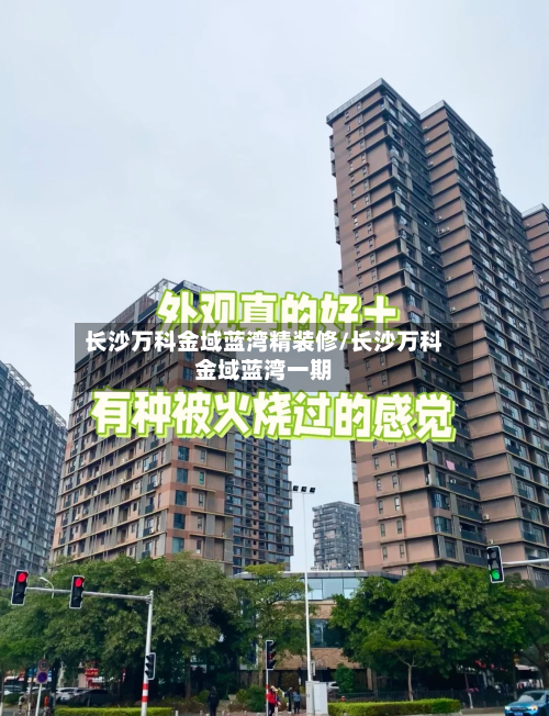 长沙万科金域蓝湾精装修/长沙万科金域蓝湾一期-第3张图片