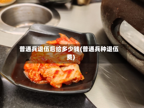 普通兵退伍后给多少钱(普通兵种退伍费)-第1张图片