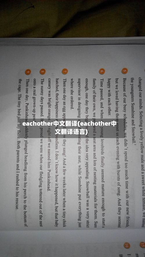 eachother中文翻译(eachother中文翻译语言)-第2张图片