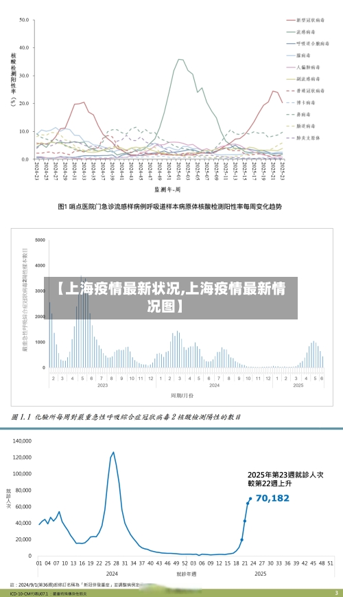 【上海疫情最新状况,上海疫情最新情况图】-第2张图片
